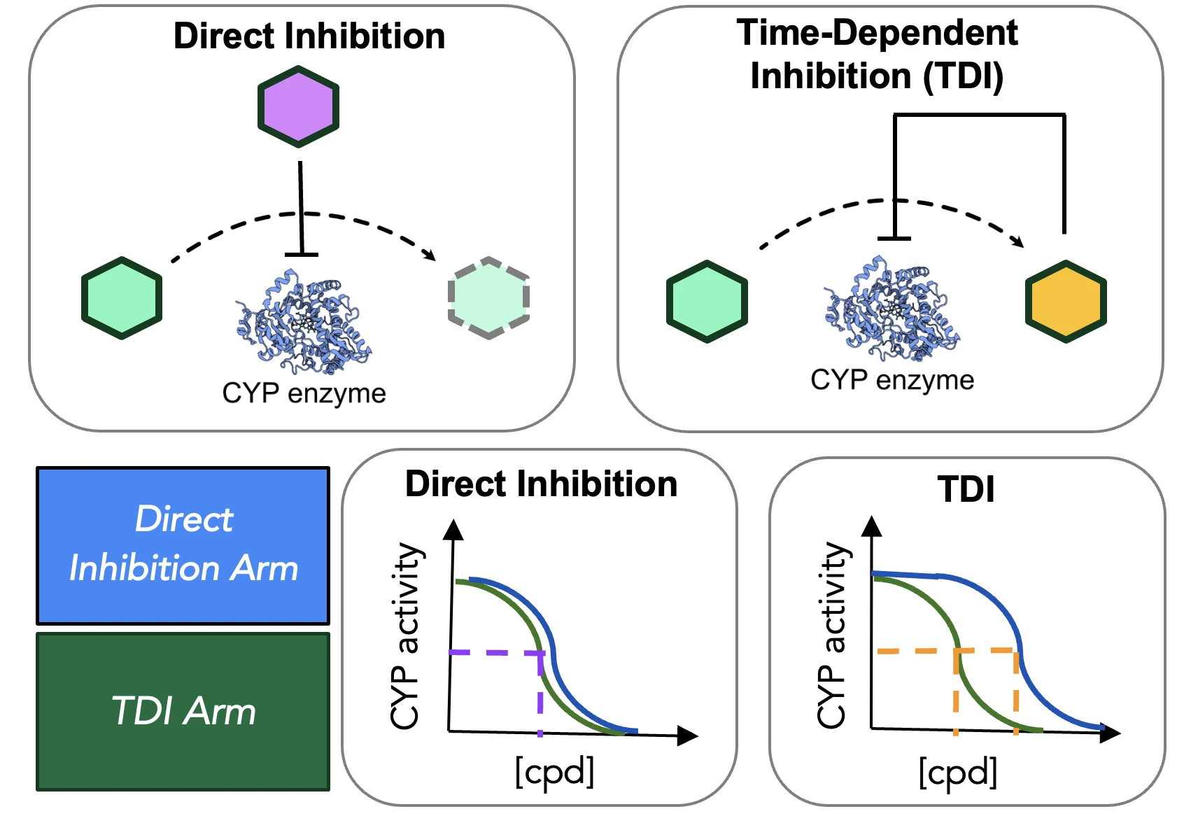 Schematic of direct versus bioactivation-dependent inhibition, above paired dose-response curves that shift left only for a TDI.